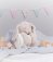 MM34 Mumbles Rabbit and Blanket Set