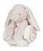 MM34 Mumbles Rabbit and Blanket Set